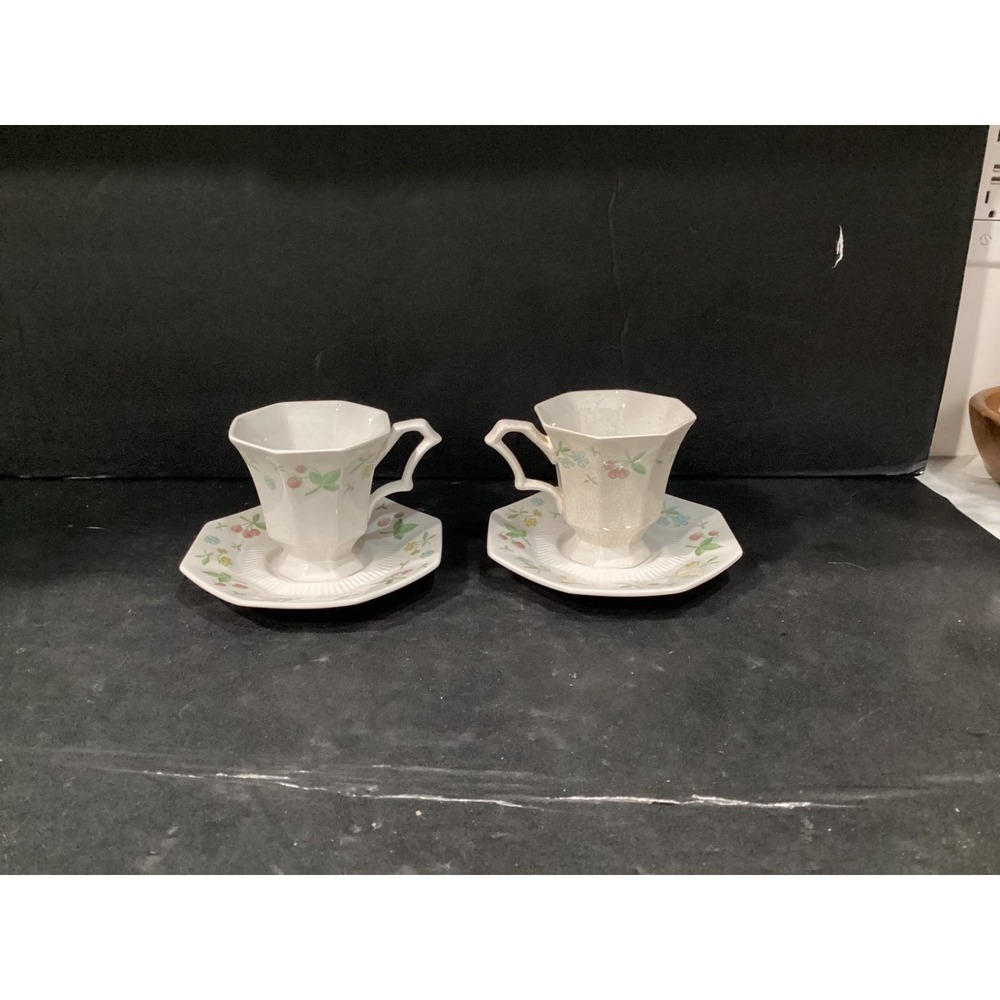 Independence Ironstone OLD ORCHARD 2 Teacups Saucers Vintage Japan *